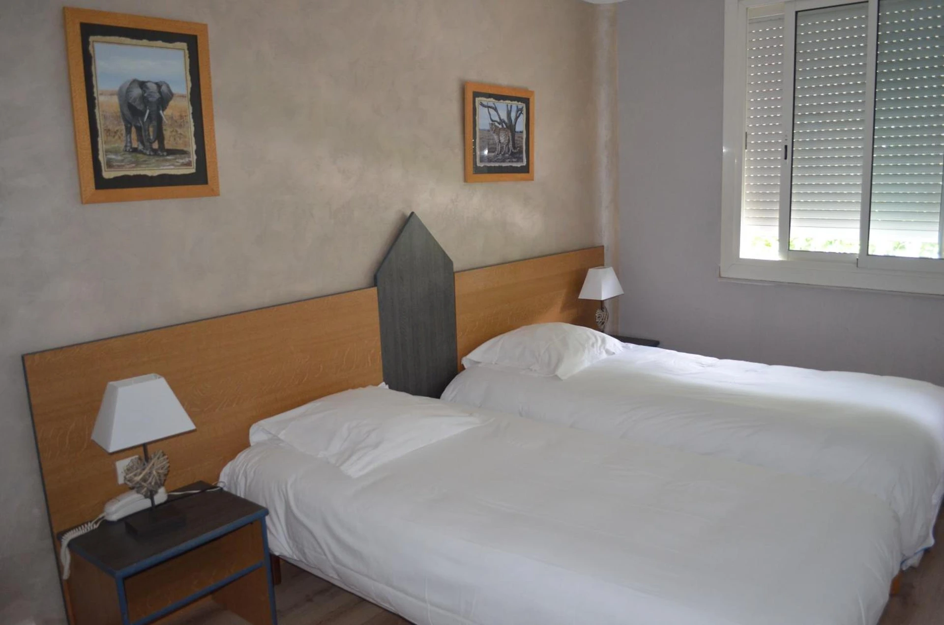 Organiser un séminaire d'entreprise : Hotel Regina à sete