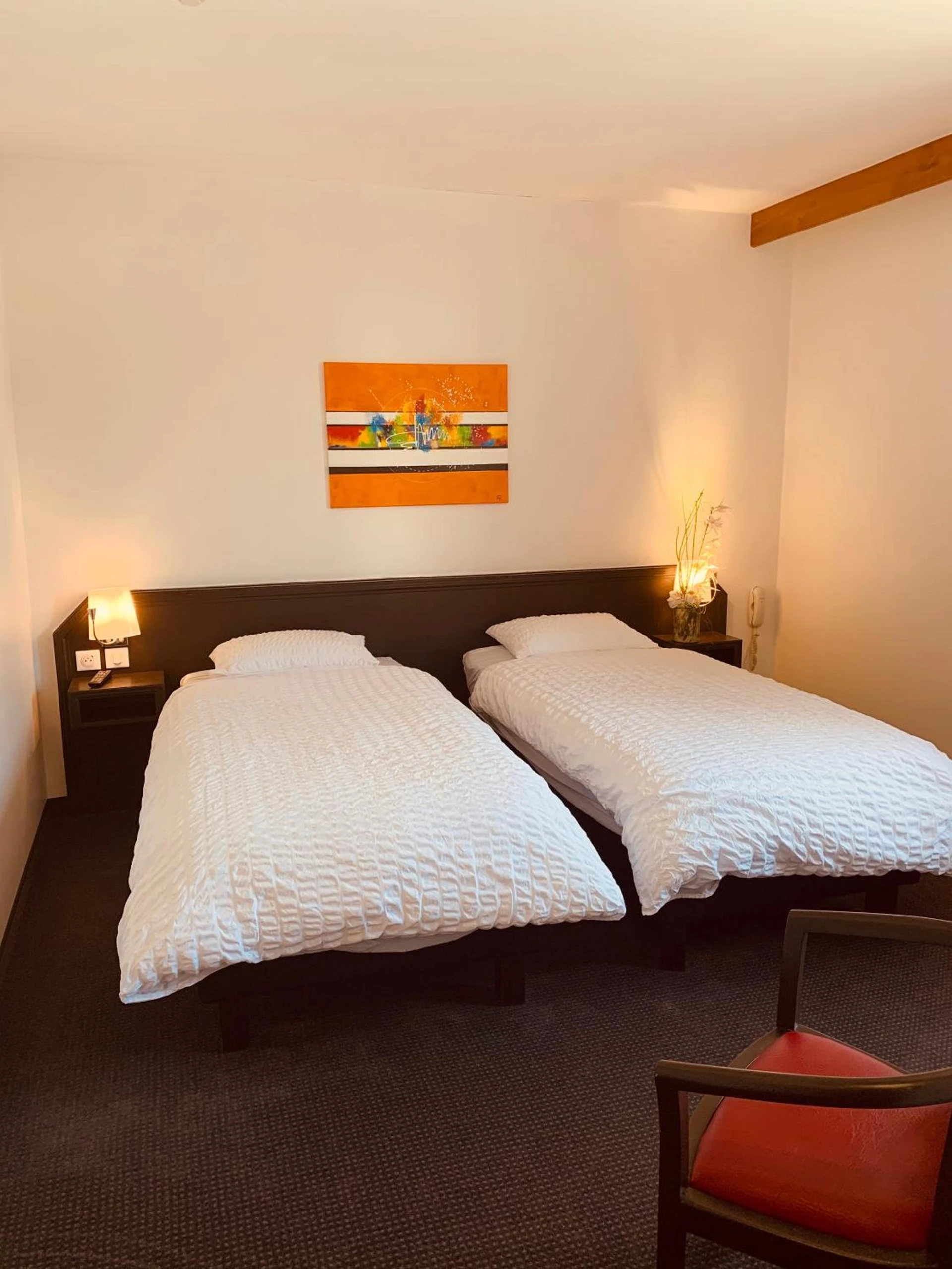 Magnifique chambre pour un séminaire d'entreprise à Logis Hôtel Restaurant Au Lion Rouge - Bartenheim