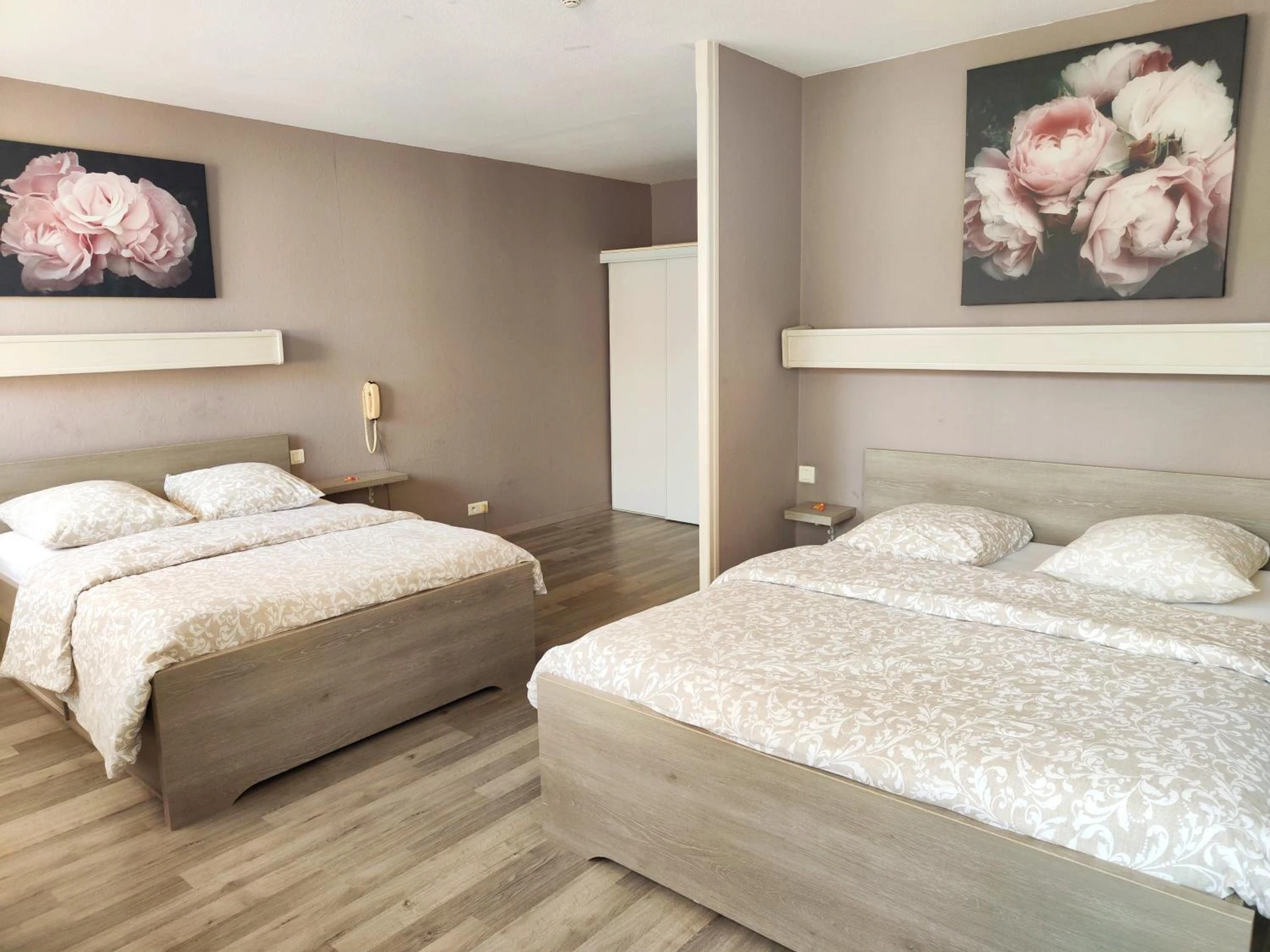 Magnifique chambre pour un séminaire d'entreprise à Hôtel-Restaurant le Commerce - Nogaro