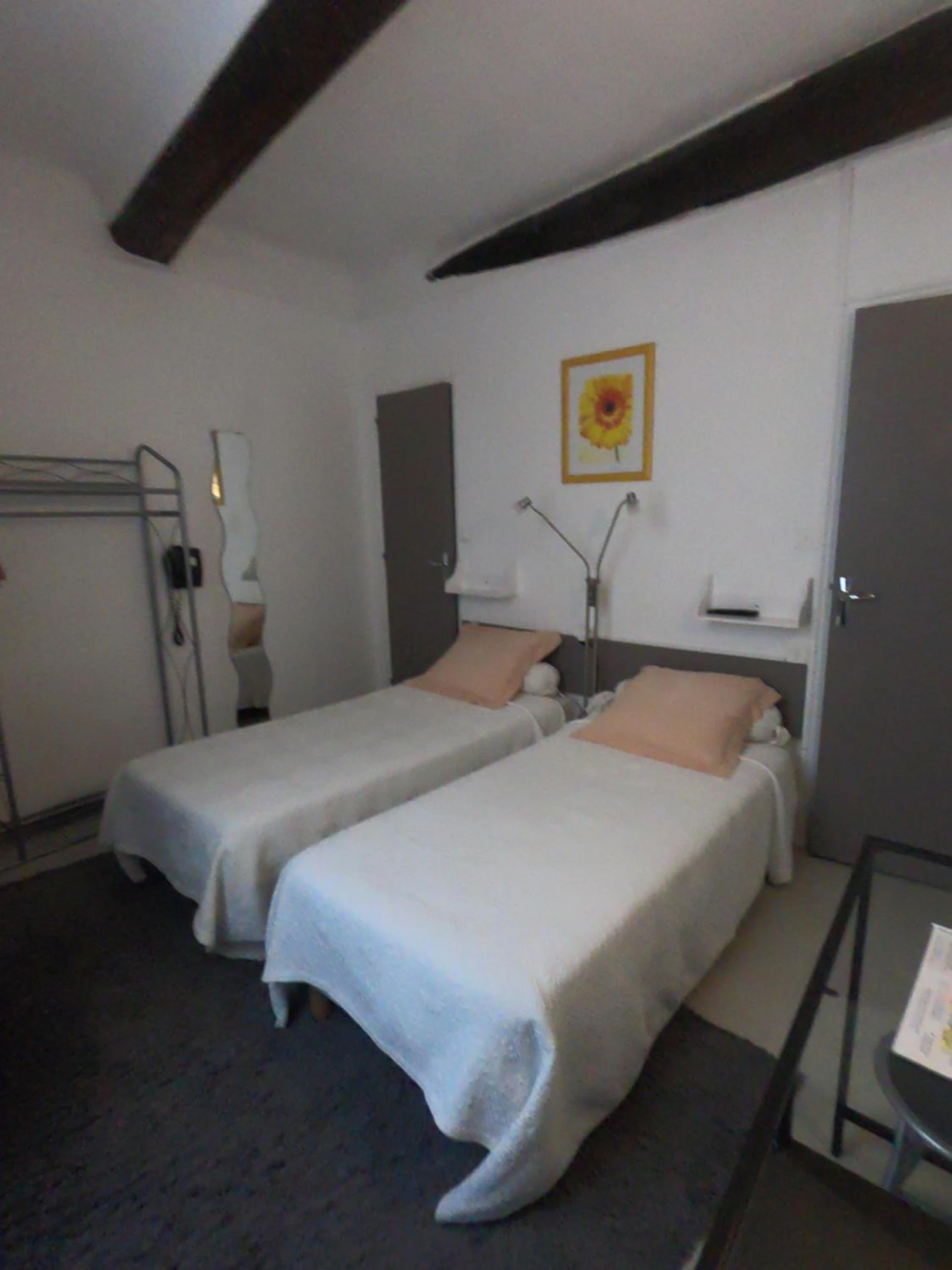 Magnifique chambre pour un séminaire d'entreprise à Hôtel-restaurant le Palais - Apt