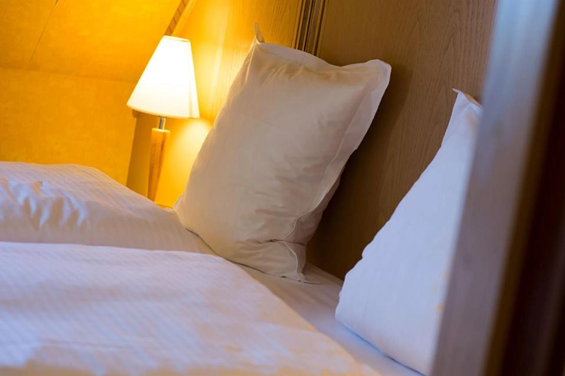 Organiser un séminaire d'entreprise : Hotel Spa et Restaurant Au Chasseur à birkenwald