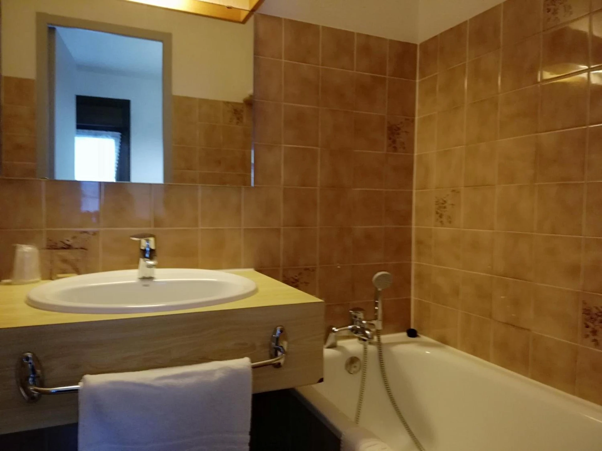 Chambre à Terminus Hôtel des 3 Vallées - Organiser un séminaire d'entreprise à Moutiers