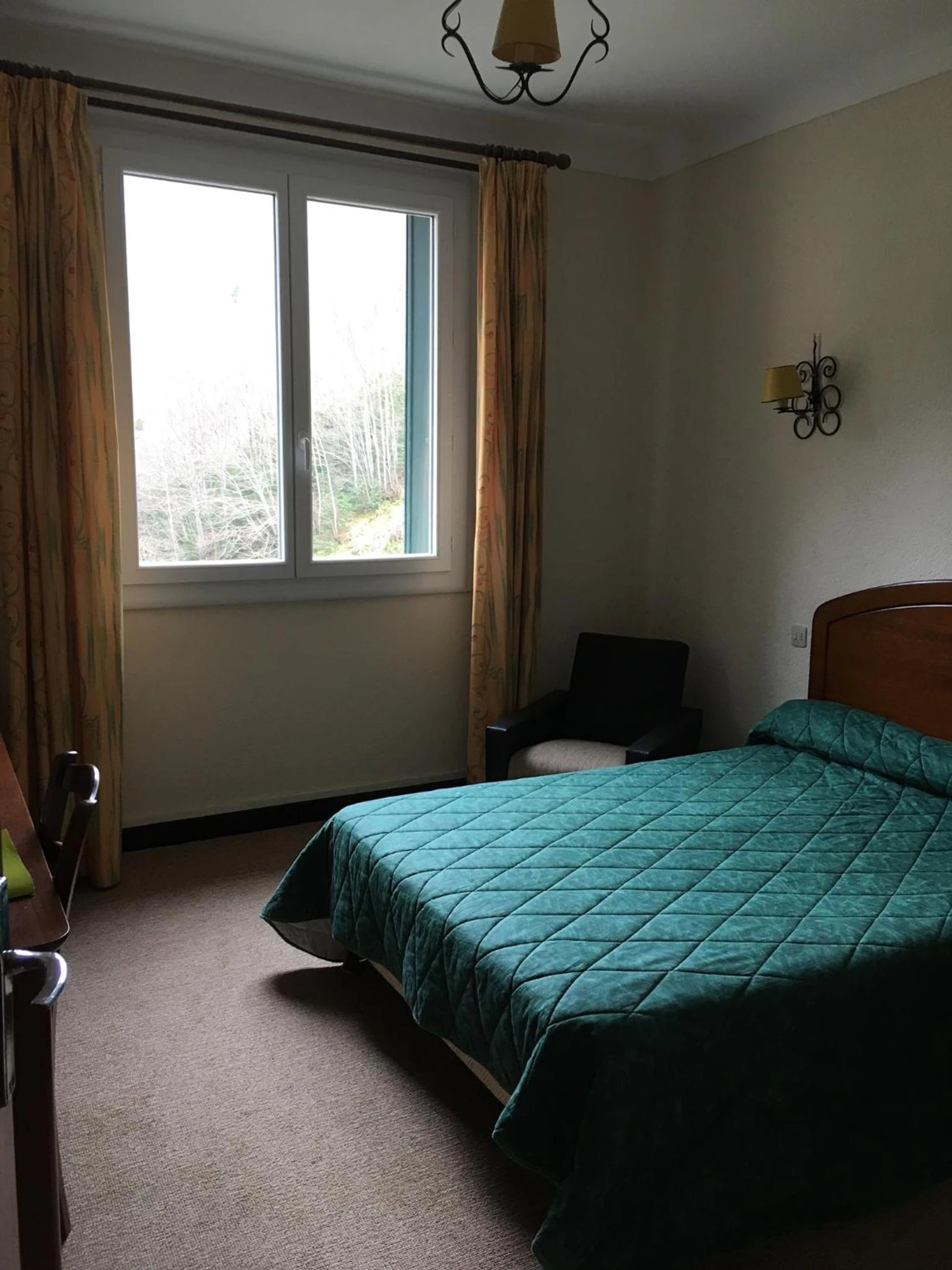 Chambre disponible pour un séminaire d'entreprise à Hôtel Val Du Tech - Prats-de-Mollo-la-Preste