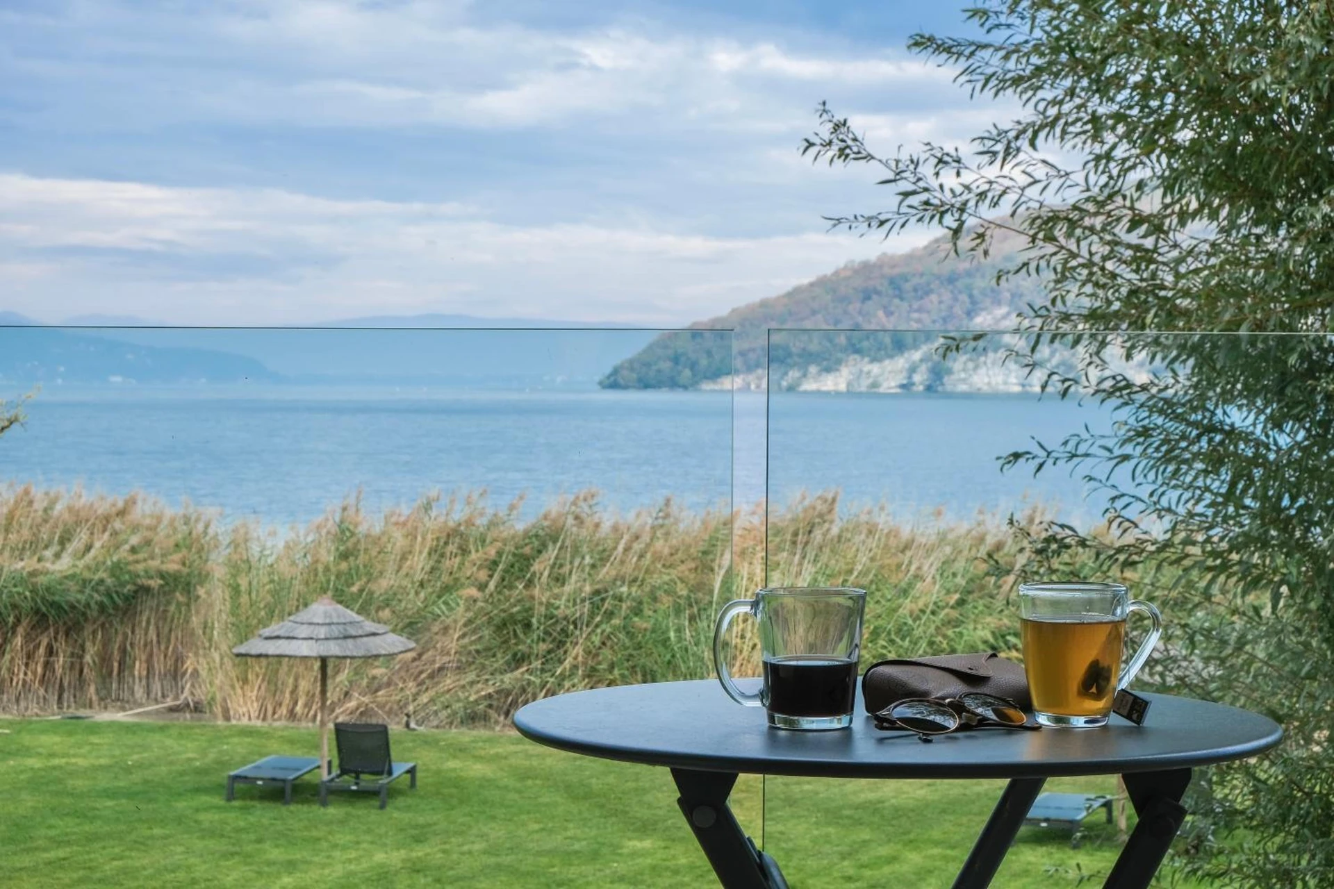 Organiser un séminaire d'entreprise : Villa Caroline, Lac d'Annecy à duingt