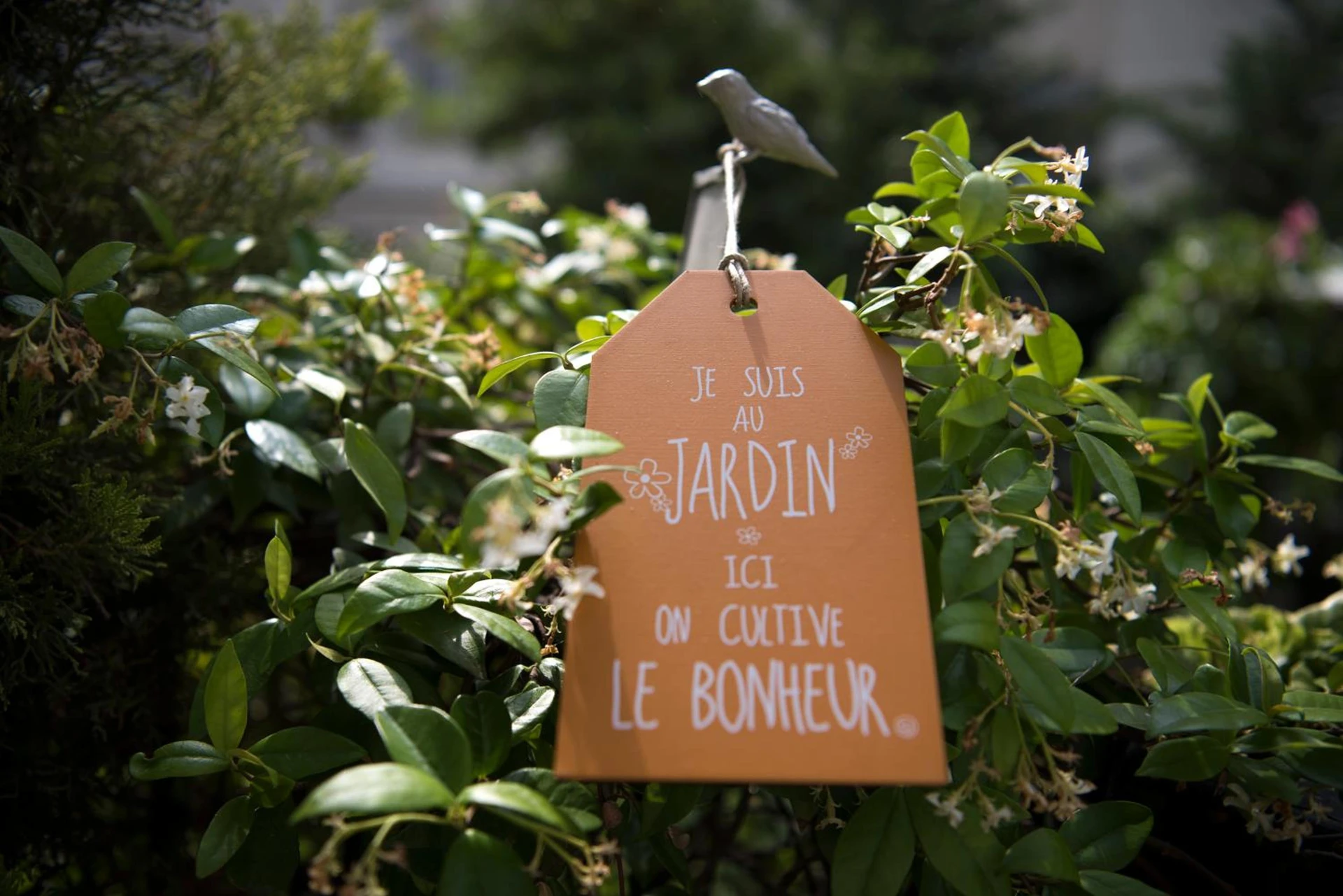 Lieu convivial pour un séminaire d'entreprise à Hotel Villa Rivoli - Nice - En savoir plus 