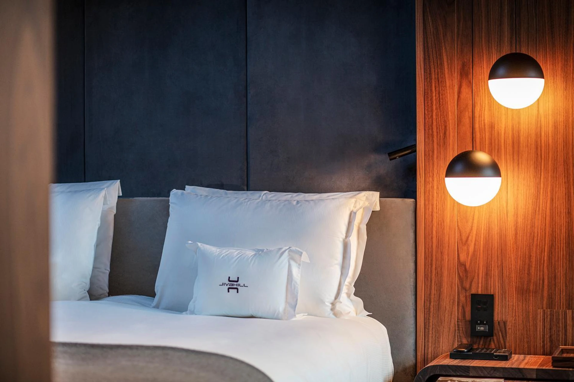 Chambre disponible pour un séminaire d'entreprise à Jiva Hill Resort - Genève - Crozet