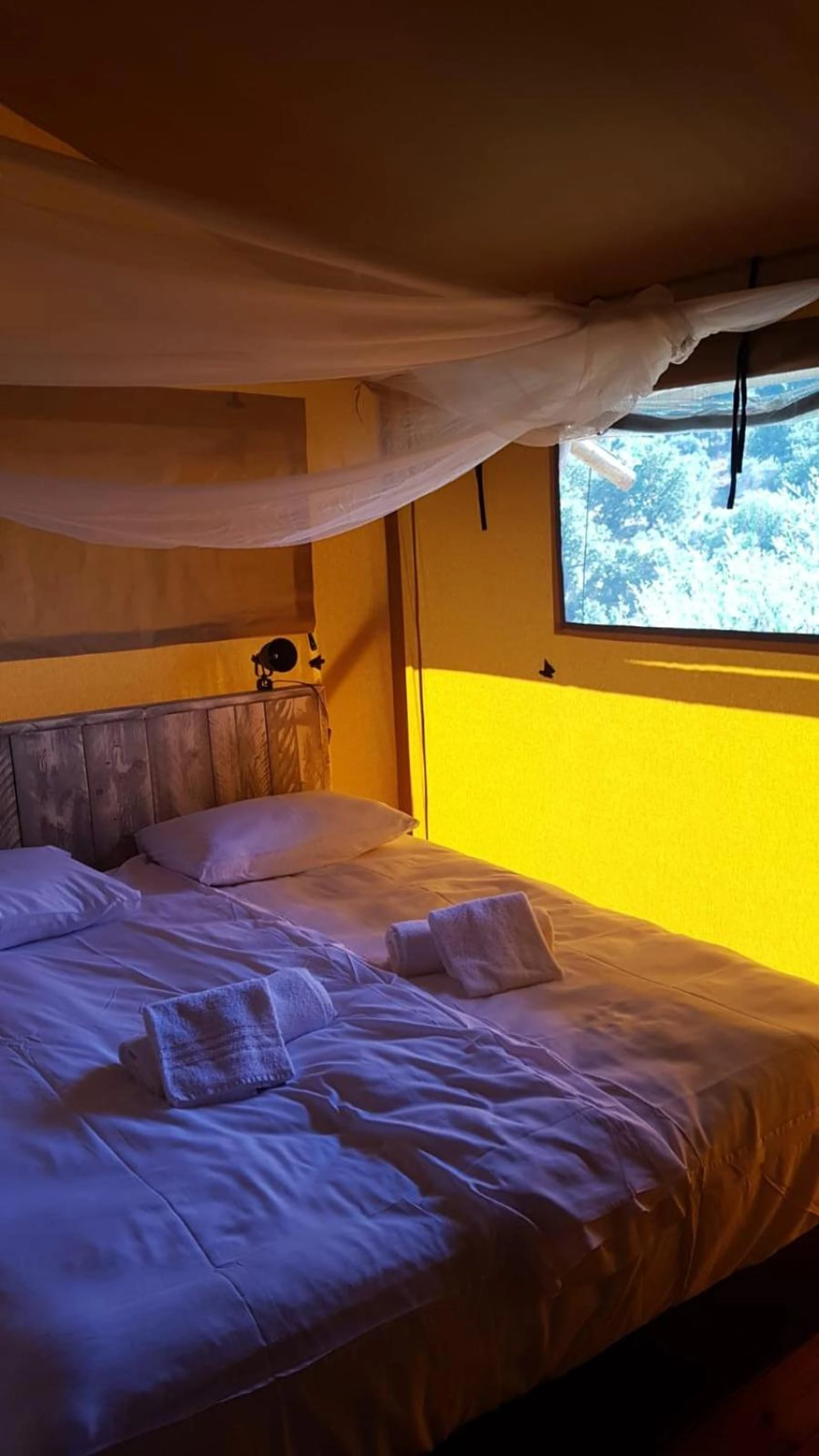 Lieu convivial pour un séminaire d'entreprise à Safaritent Glamping L'Ardechois - Gluiras - En savoir plus 