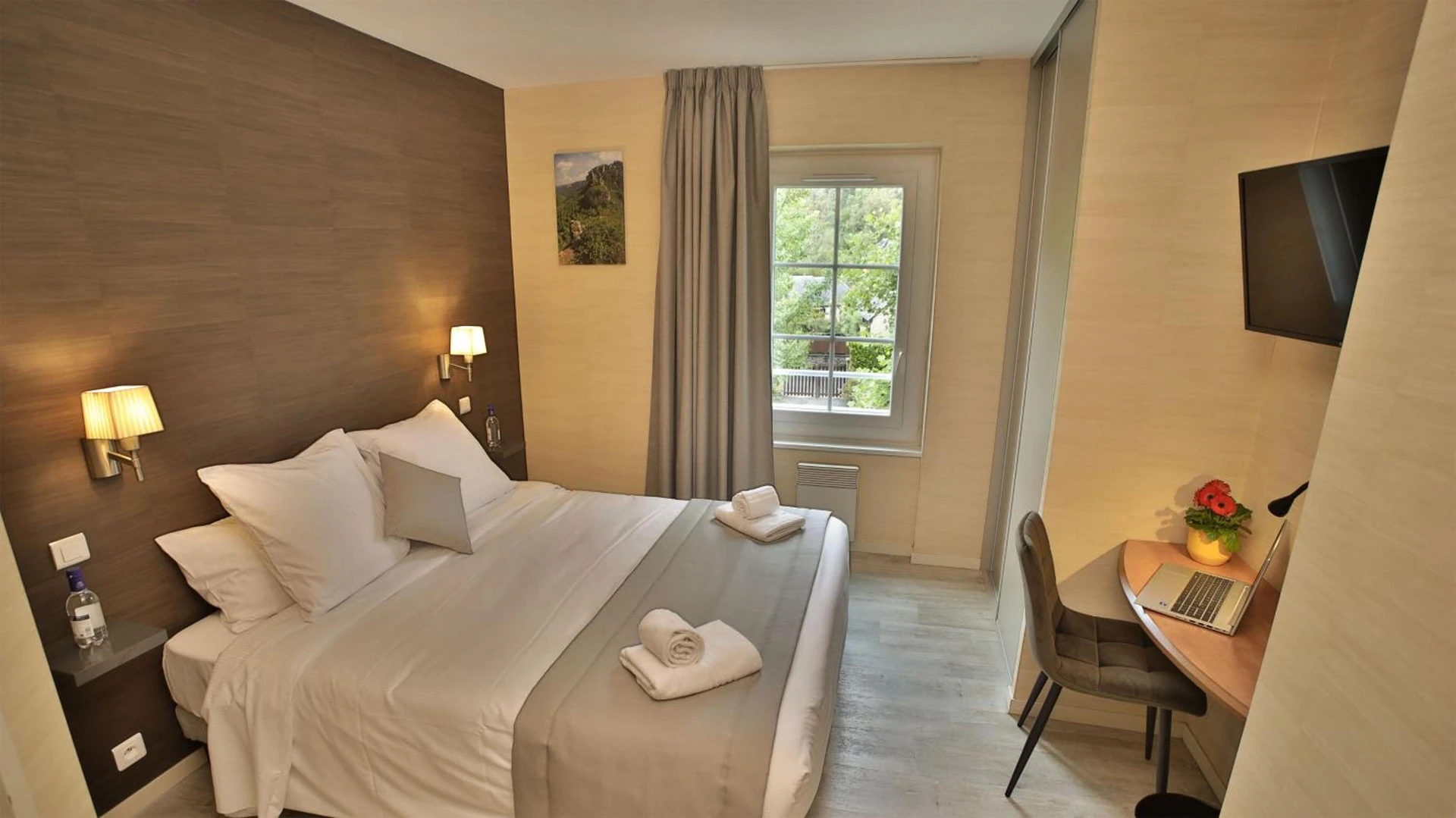 Chambre disponible pour un séminaire d'entreprise à L'HÔTEL DES BAINS - Salles-la-Source - Salles-la-Source