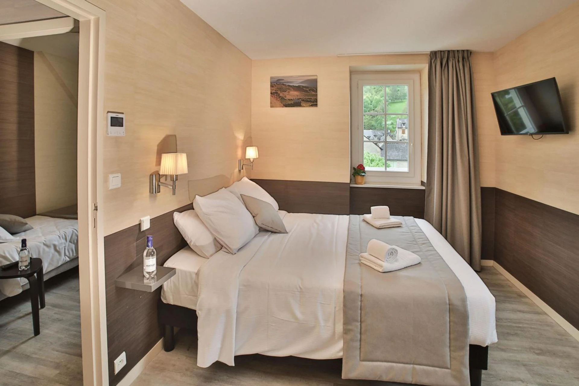 Magnifique chambre pour un séminaire d'entreprise à L'HÔTEL DES BAINS - Salles-la-Source - Salles-la-Source
