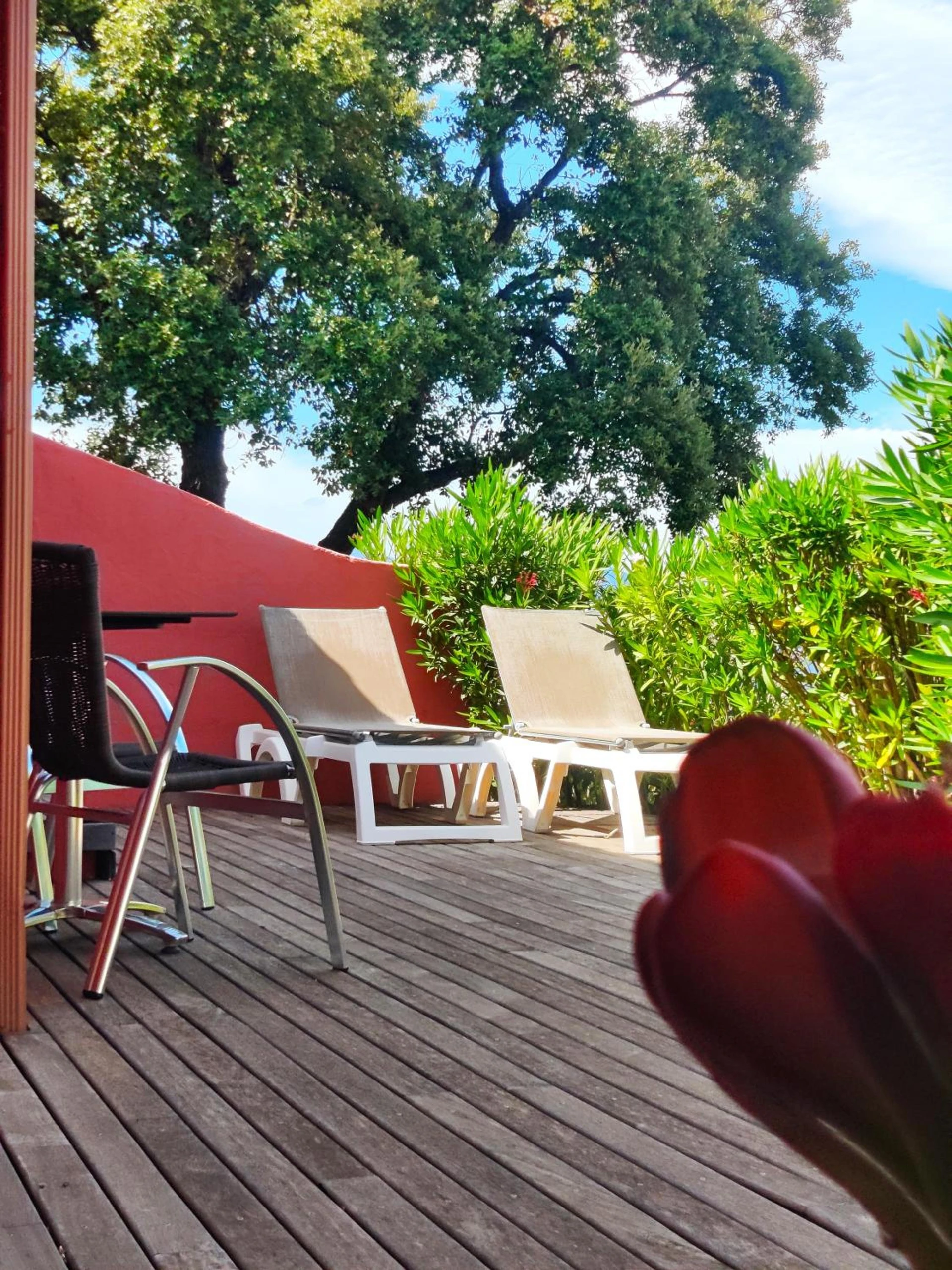 Ambiance de travail pour séminaire d'entreprise à Le Roc E Fiori Hotel - Teritoria - Porto-Vecchio