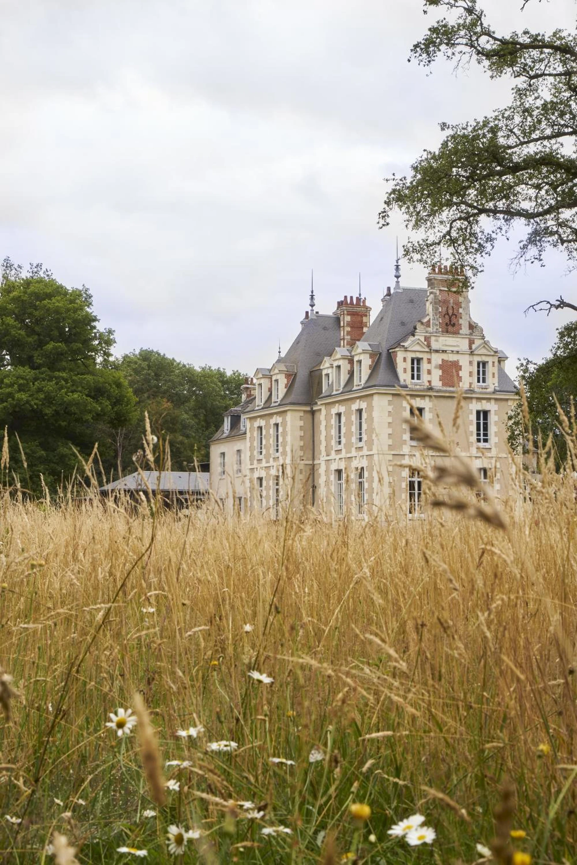 Chambre à Les Sources de Cheverny - Organiser un séminaire d'entreprise à Cheverny