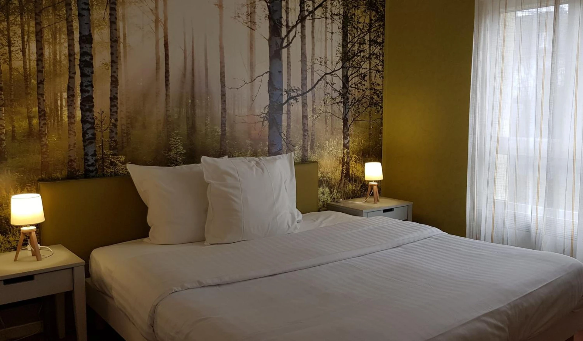 Magnifique chambre pour un séminaire d'entreprise à Résidence Carouge Appart Hôtel - Brétigny-sur-Orge