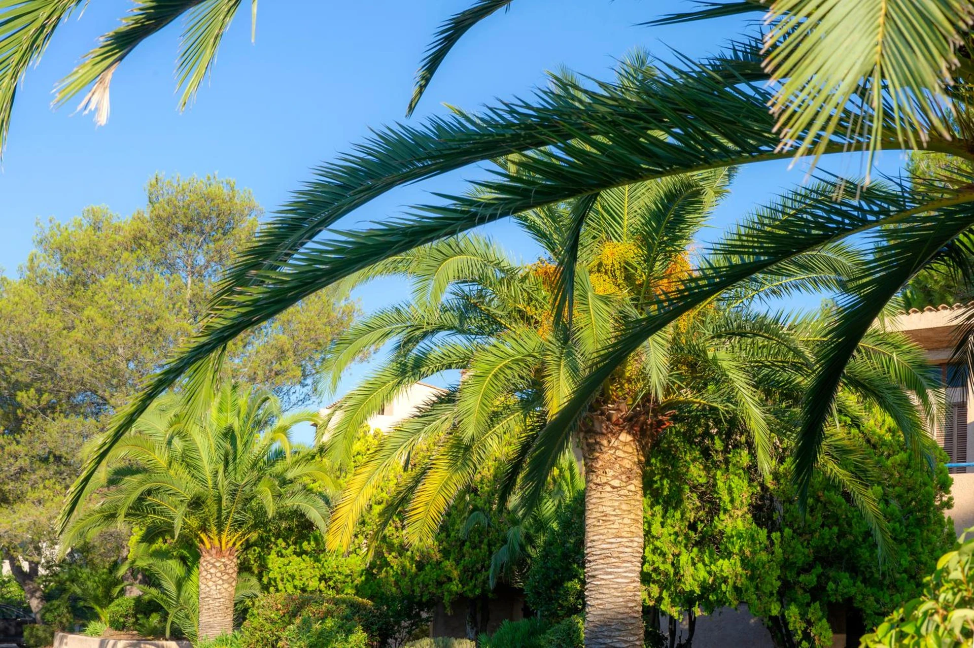 Organiser un séminaire d'entreprise : Résidence Goélia Les Jardins d'Azur à saint-raphael