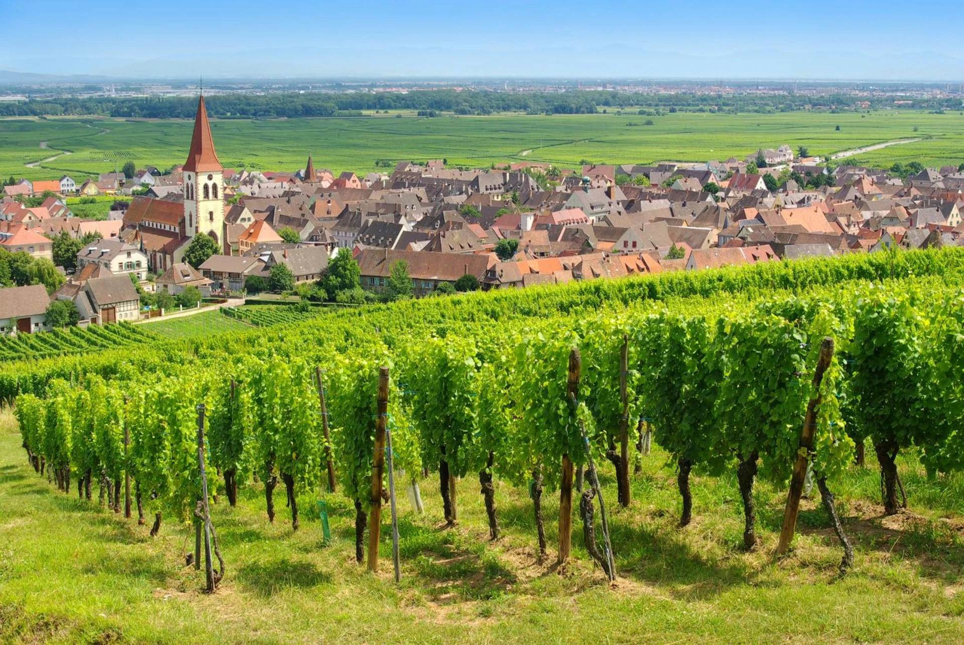 Organiser un séminaire d'entreprise : Goélia Le Domaine du Golf à ammerschwihr