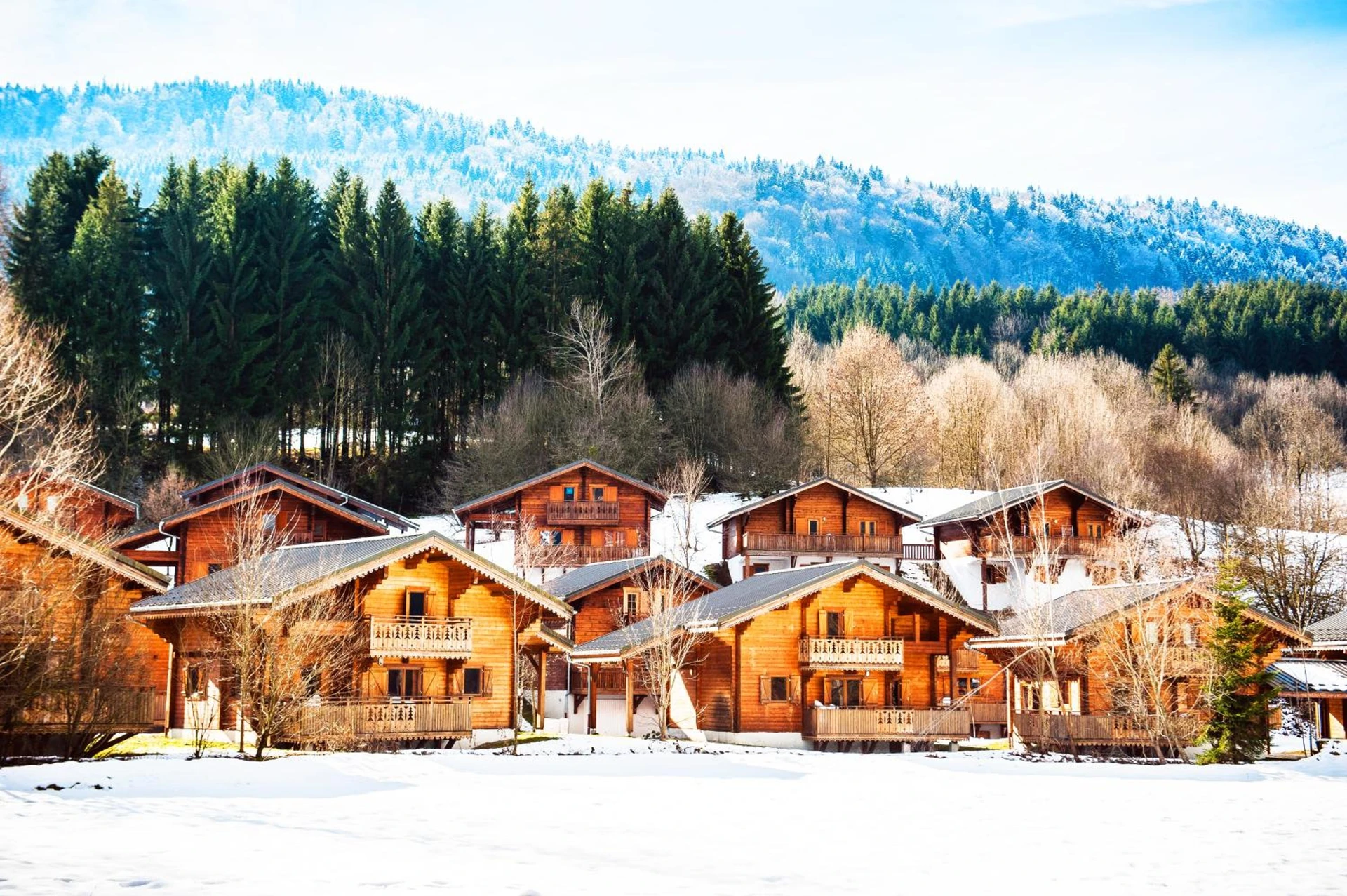 Salle de séminaire à Résidence Néméa Les Chalets du Bois de Champelle - Organiser un événement professionnel à Morillon