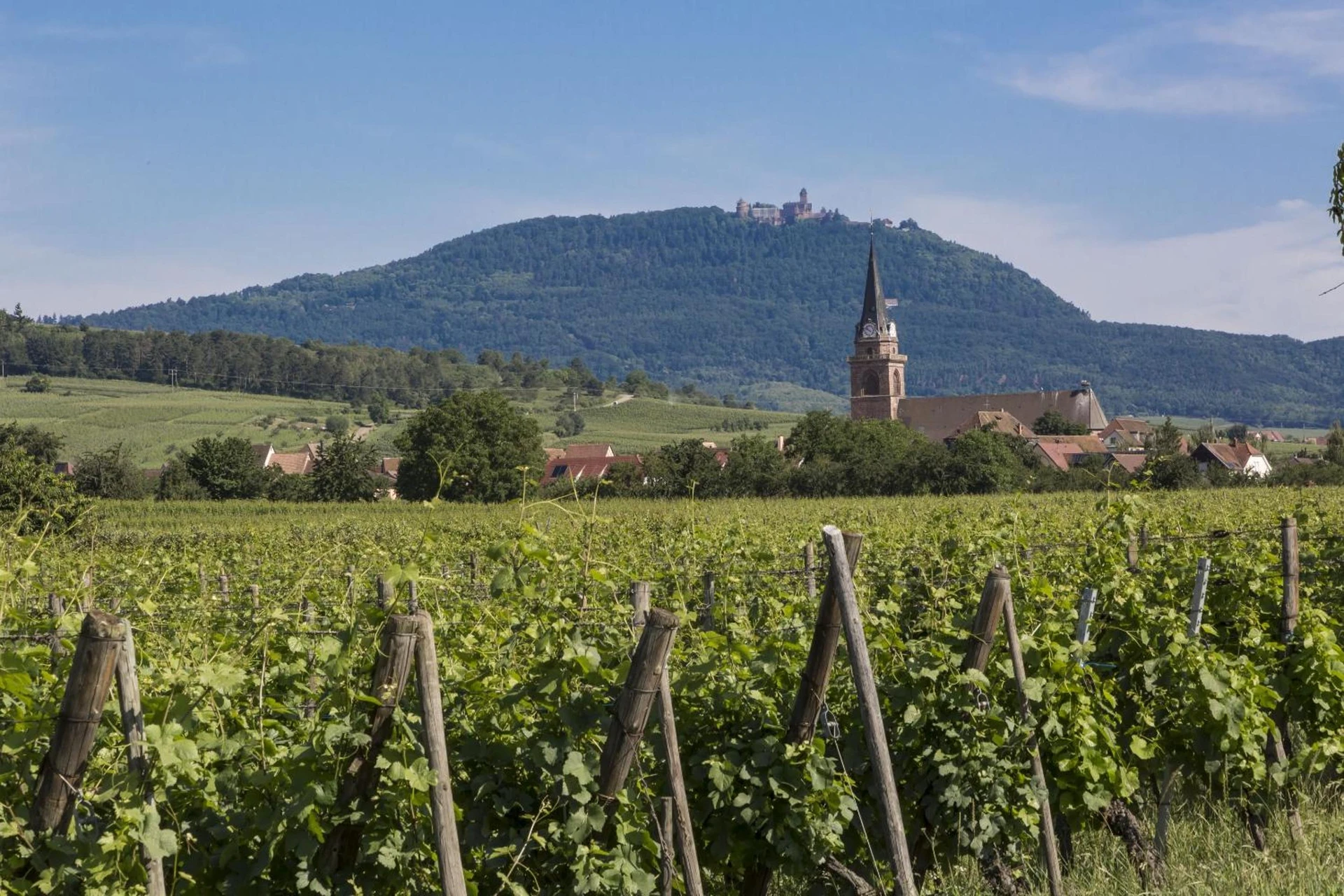 Lieu convivial pour un séminaire d'entreprise à Résidence Odalys Le Domaine des Rois - Bergheim - En savoir plus 