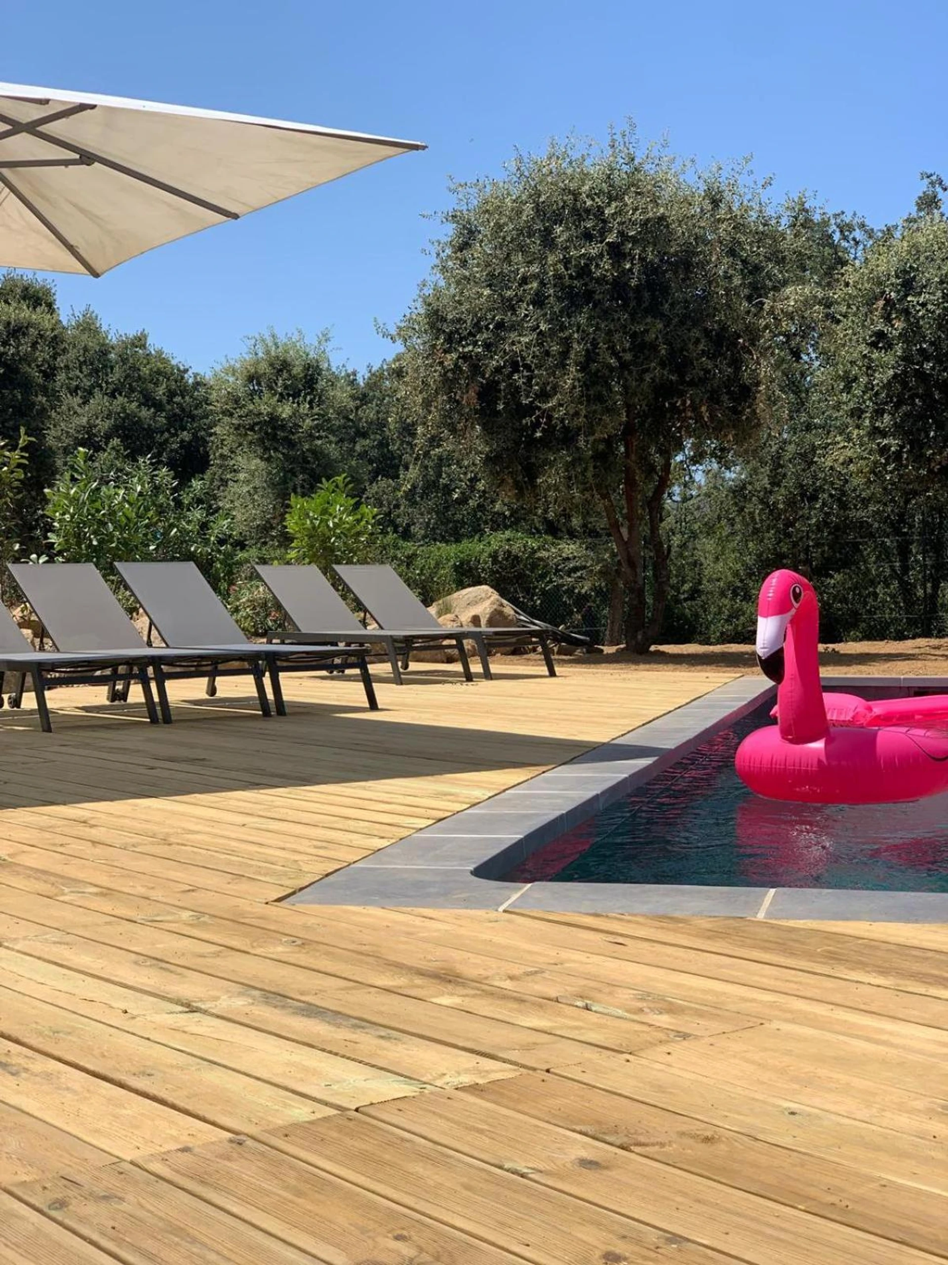 Organiser un séminaire d'entreprise : Résidence 3 étoiles Pietra Gemina - Appartements de vacances, au calme, avec Piscine à calenzana