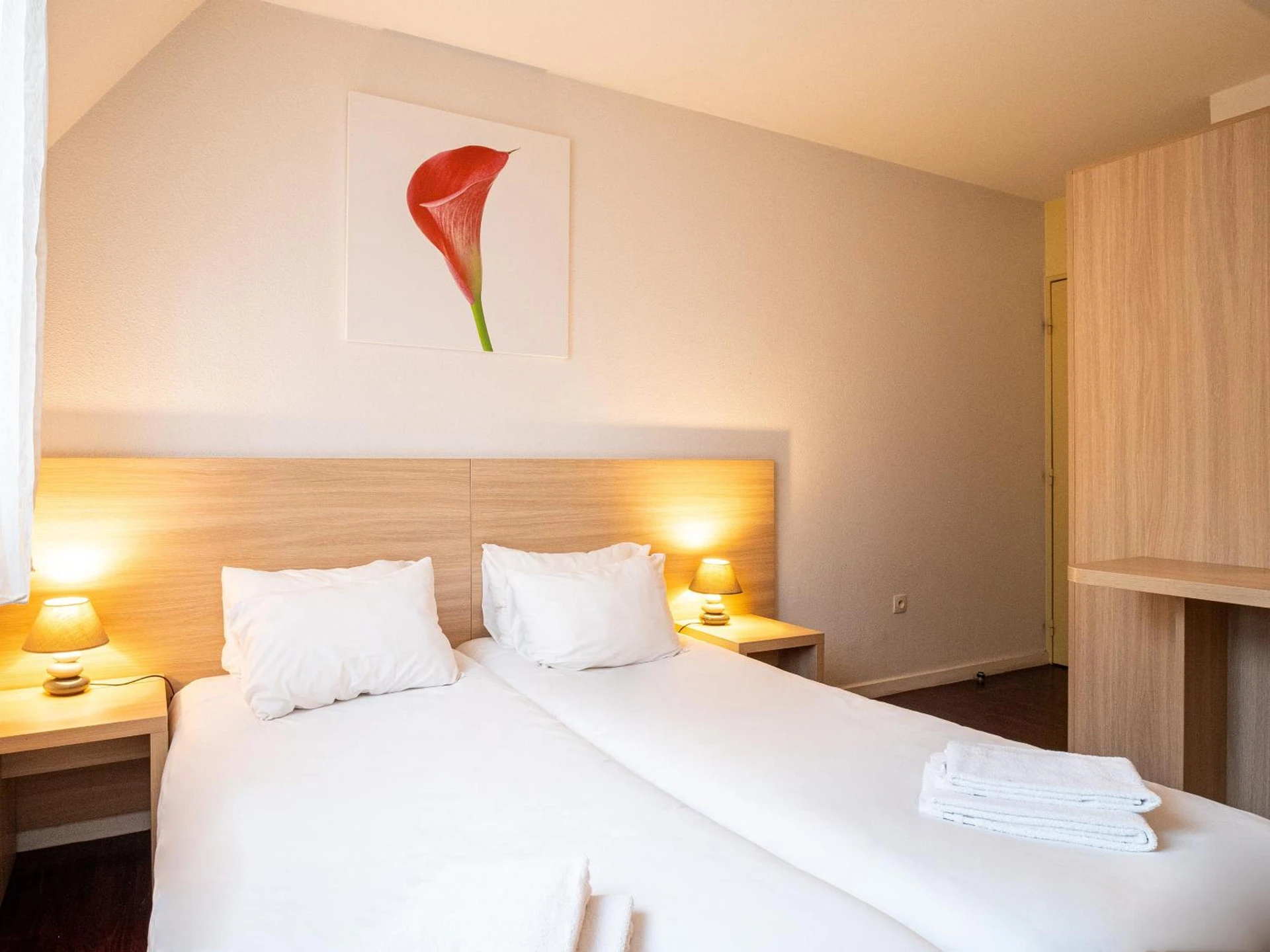 Magnifique chambre pour un séminaire d'entreprise à Residhotel St Etienne Centre - Saint-Étienne
