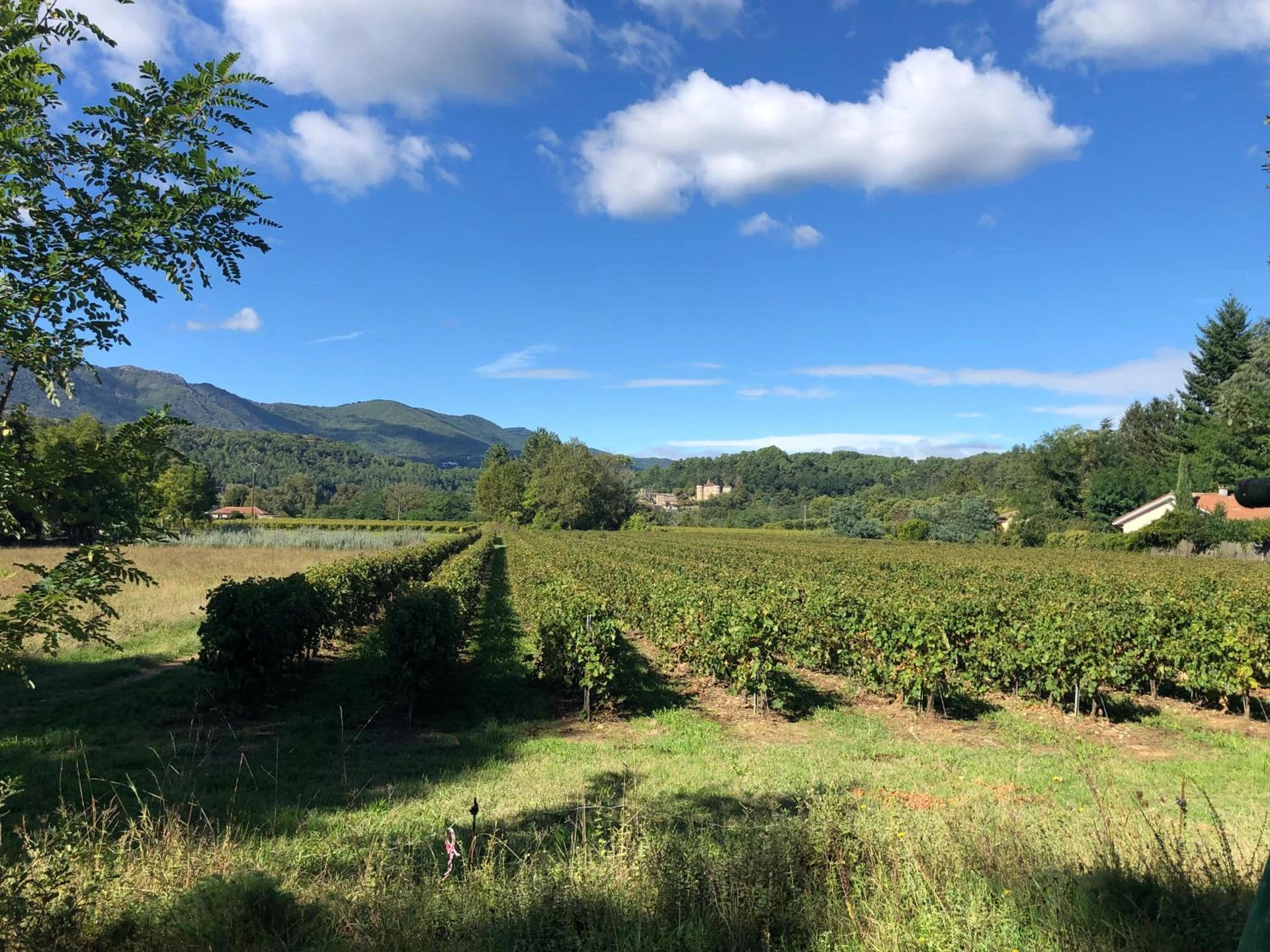 Ambiance de travail pour séminaire d'entreprise à Terres de France - Le Domaine des Vans - Chambonas