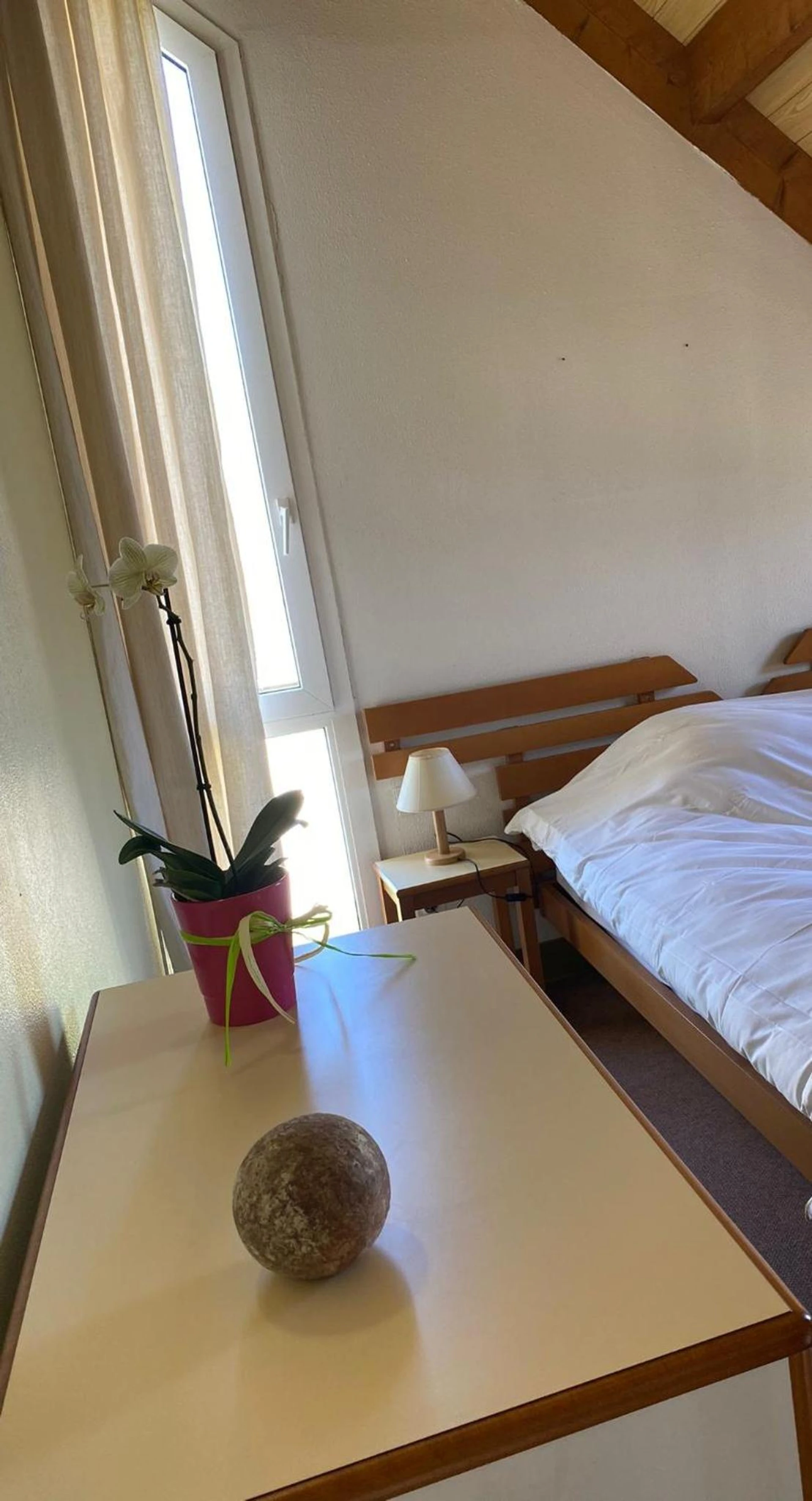 Chambre disponible pour un séminaire d'entreprise à VVF Fouesnant les Glénan - Fouesnant